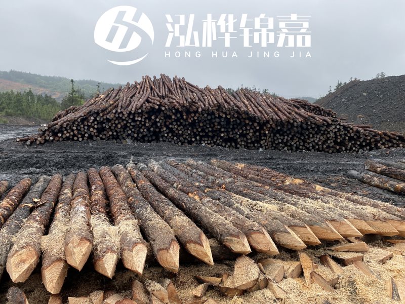 6米長(zhǎng)松木樁有哪些作用，多少錢一根？