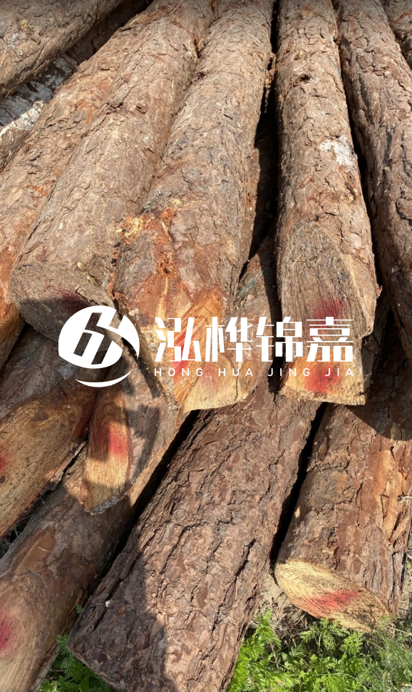<strong>松木樁和杉木樁的用途區(qū)別？哪個更適合打樁用？</strong>