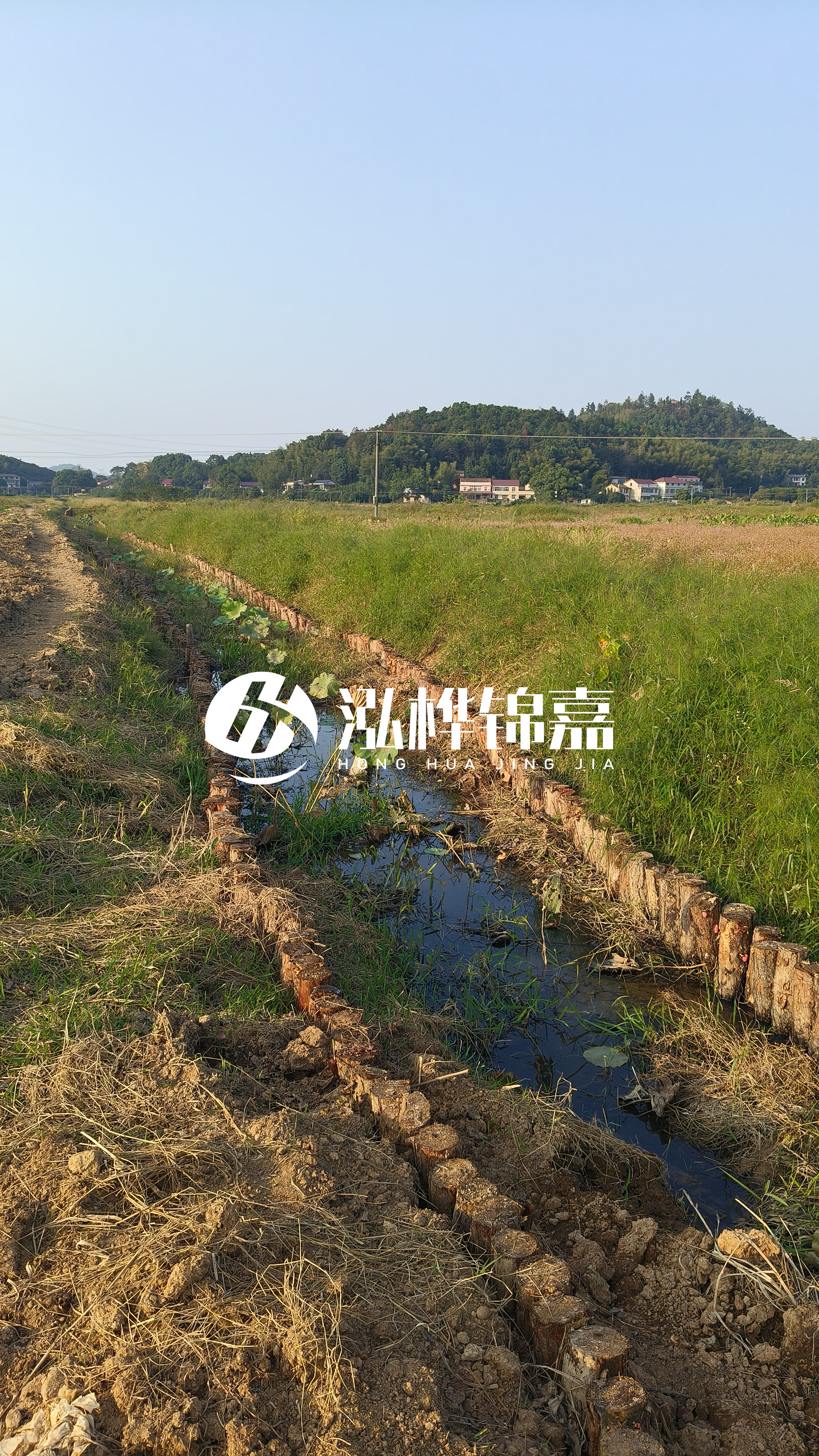 河道護坡打木樁的目的全解析：你知道幾個？