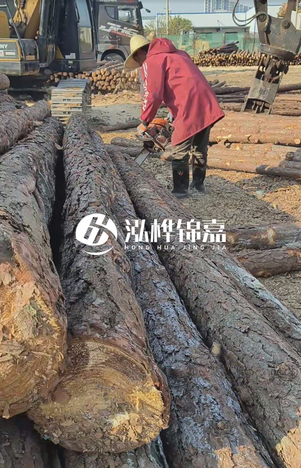 長(zhǎng)沙打樁木批發(fā)廠家在哪里？聯(lián)系方式是什么？