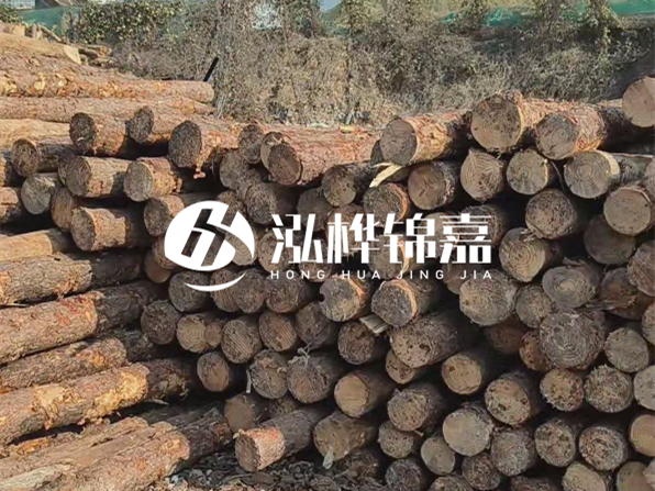 落葉松木材的主要產(chǎn)地在哪里？為什么比其他松木更耐腐蝕？