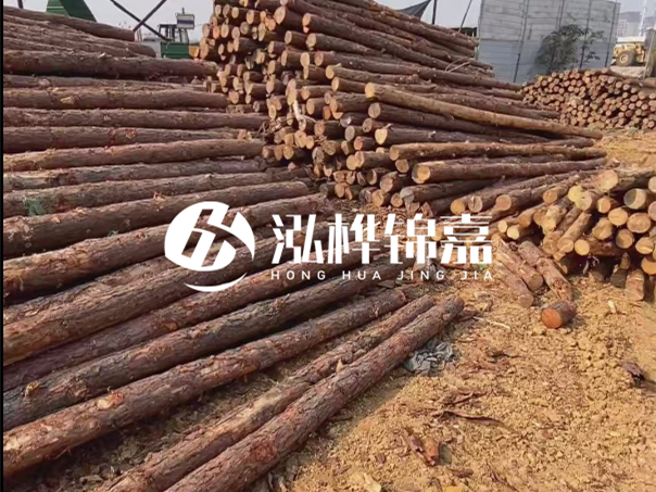 河道木樁施工遇到淤泥怎么辦？打多深才能防沖刷？