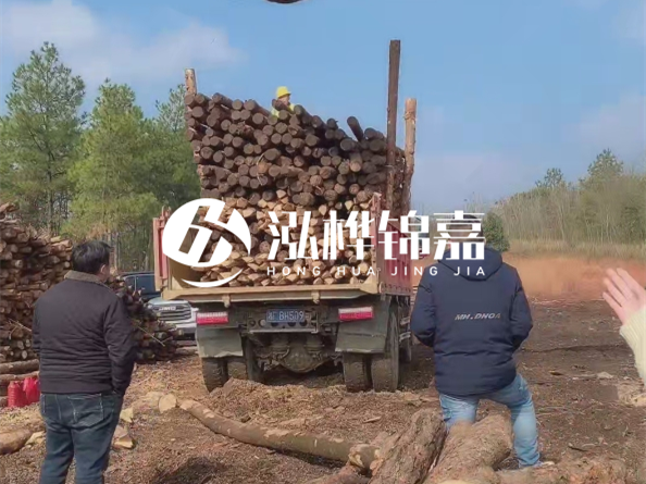 防腐木樁價(jià)格比普通木樁貴多少？防腐木樁有哪些處理方式？