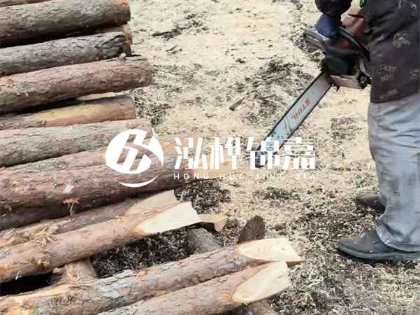 杉木樁批發(fā)廠家哪家好？產(chǎn)地直供渠道推薦！