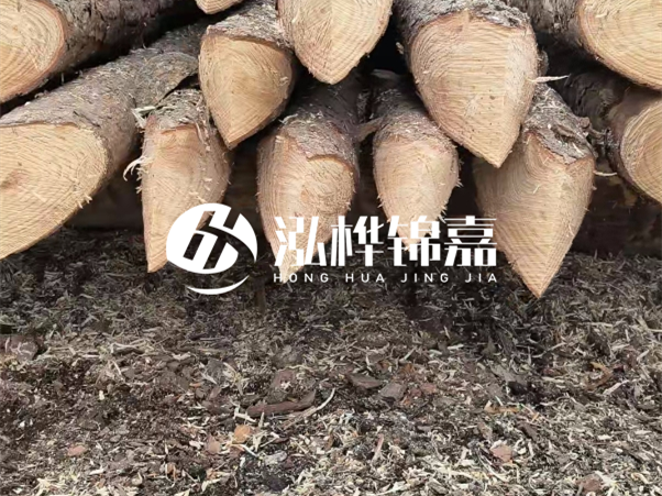 打樁木樁與鋼樁相比有哪些優(yōu)缺點(diǎn)？如何進(jìn)行后期維護(hù)？