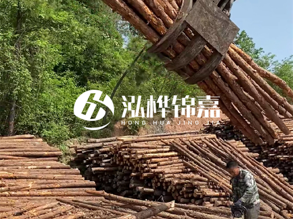 哪里能買到優(yōu)質(zhì) 3 米松木樁？長沙有松木樁批發(fā)工廠嗎？