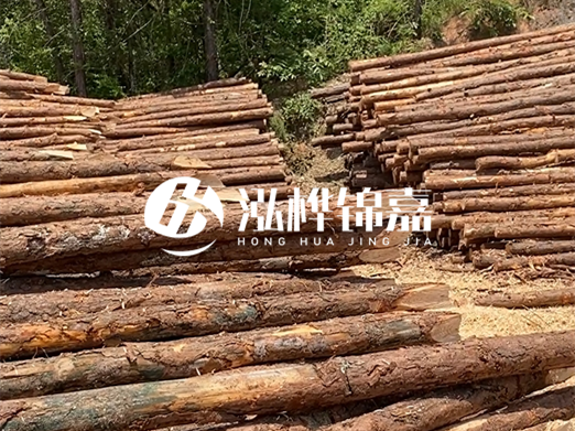 松木樁的運(yùn)輸費(fèi)用是否包含卸車費(fèi)？卸貨時(shí)需要注意哪些安全問題？