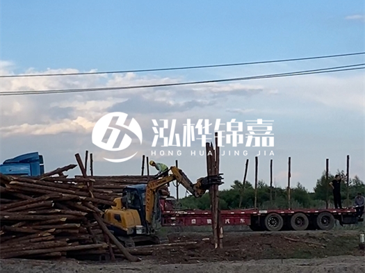 河北打樁木源頭廠家泓樺錦嘉 - 北方常用打樁木是什么？