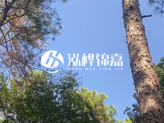 松木樁廠家泓樺錦嘉可以實地考察嗎？需要提前預(yù)約嗎？