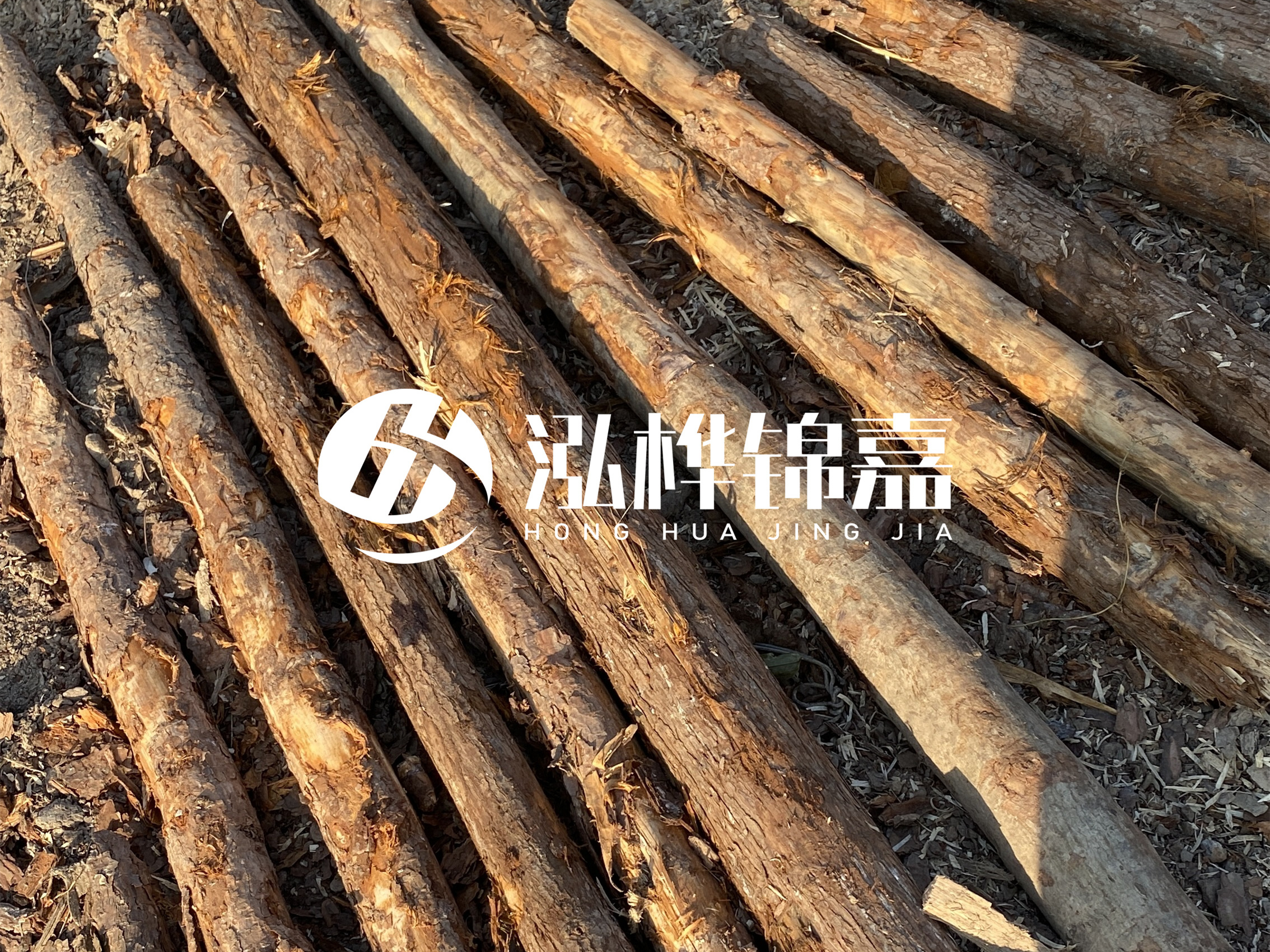 河道木樁多少錢一根？河道木樁的使用以及保養(yǎng)方法?