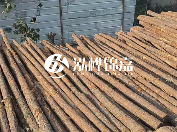 松木樁打樁后清淤怎么處理？有沒有全包的公司？