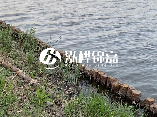 防洪松木樁施工重要性？河道打木樁的位置怎么確定？
