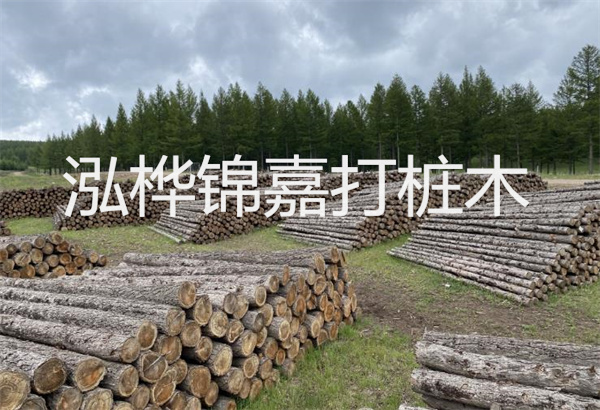 預(yù)制松木樁施工工藝：優(yōu)質(zhì)材料，高效快速，堅(jiān)固耐用
