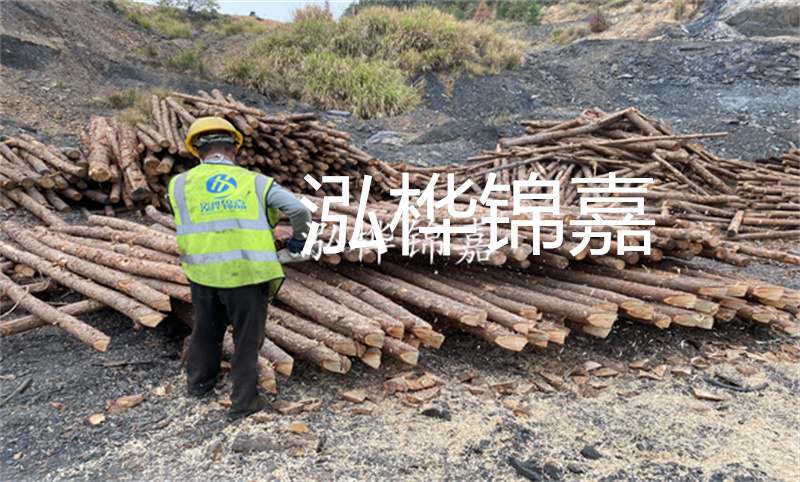 我廠大量收購杉木原木及鮮木，優(yōu)質(zhì)資源盡在我廠！