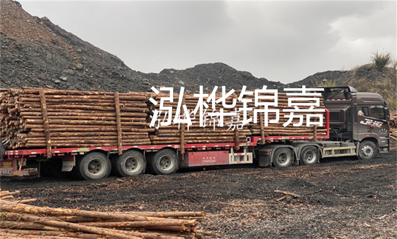 2022杉木原木價(jià)格多少錢一方