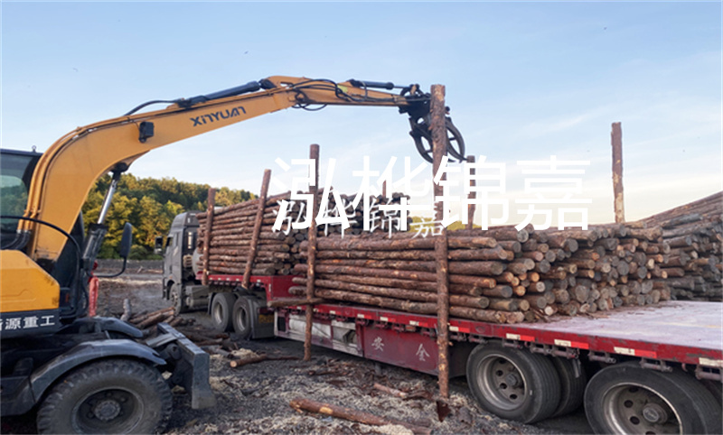 打造自然與人工相結(jié)合的仿木樁護(hù)岸，保護(hù)岸邊生態(tài)多樣性