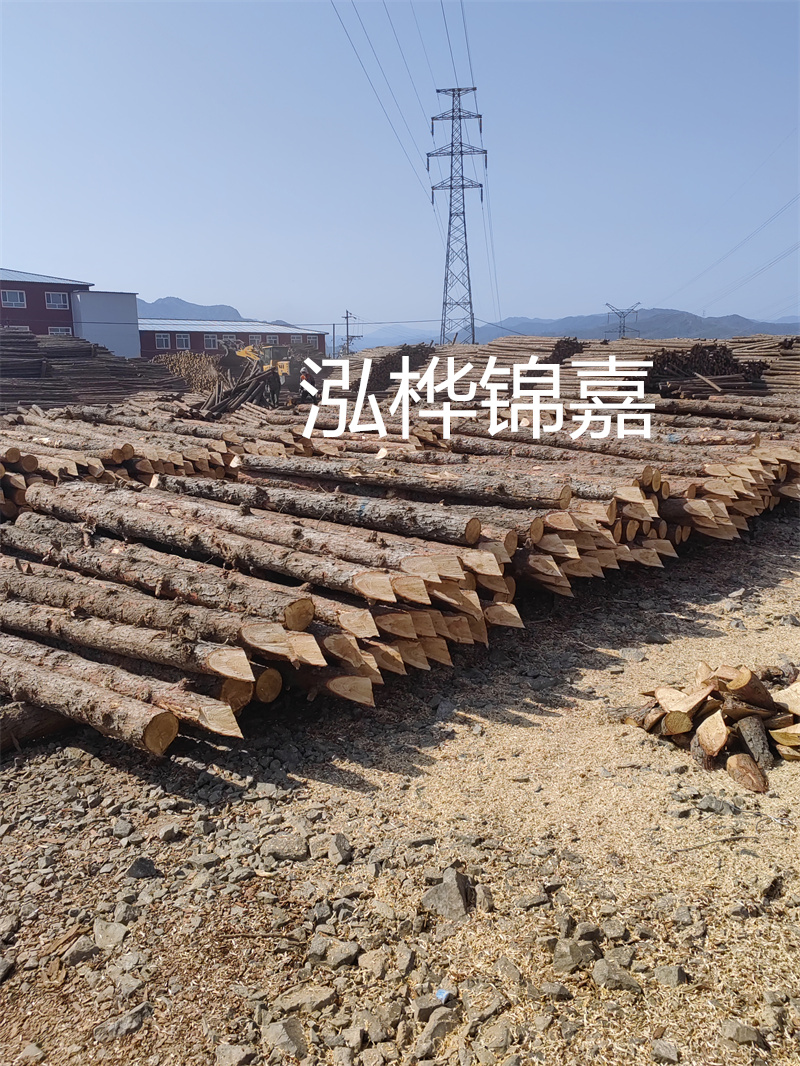 建筑沙桿多少錢一根，選擇合適價格為您節(jié)省成本