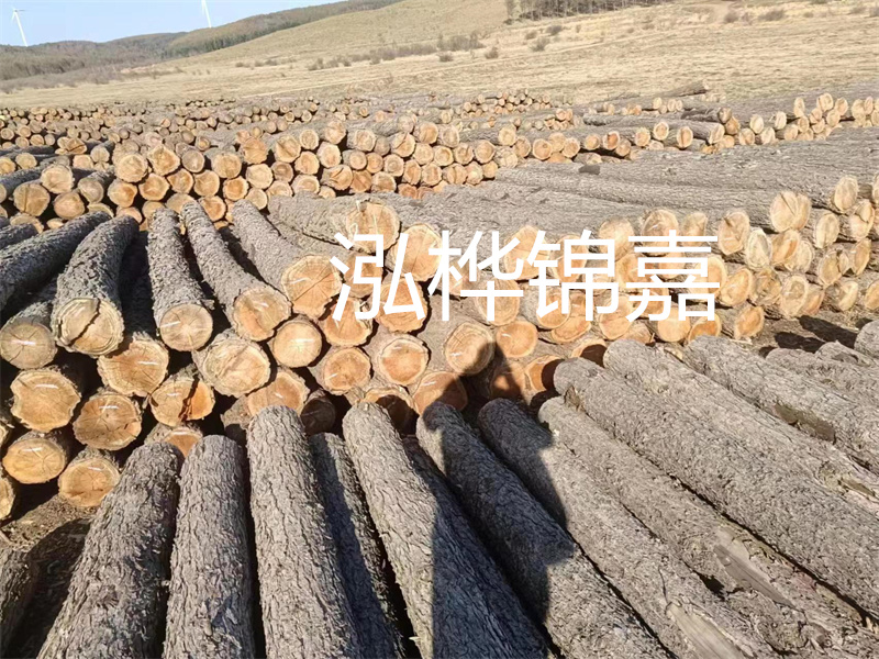 上海河堤杉木樁多少錢(qián)