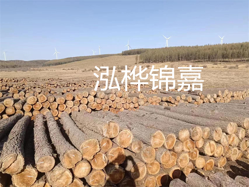挑選優(yōu)質(zhì)12公分杉木樁的價格如何？