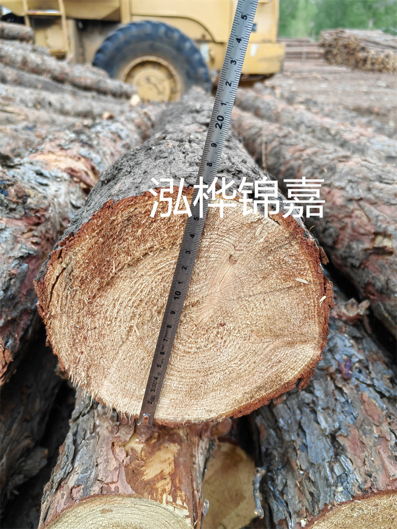 打造穩(wěn)固耐用的松木樁，實惠的價格讓您無憂！